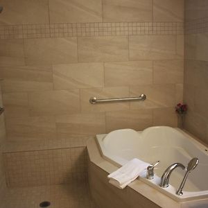 Deluxe Double Room Shower